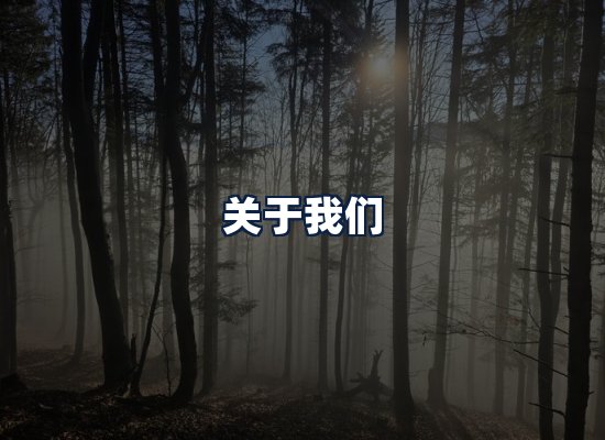 关于我们